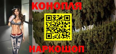 Альфа ПВП Краснознаменск