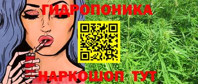 Альфа ПВП Краснознаменск