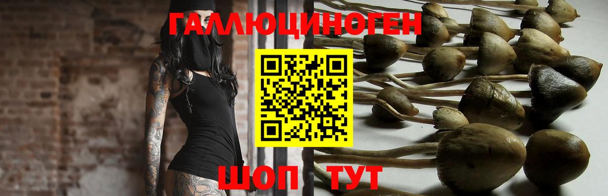 Псилоцибиновые грибы мухоморы Туймазы